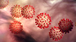 District Web Page to Serve as Coronavirus Resource Hub